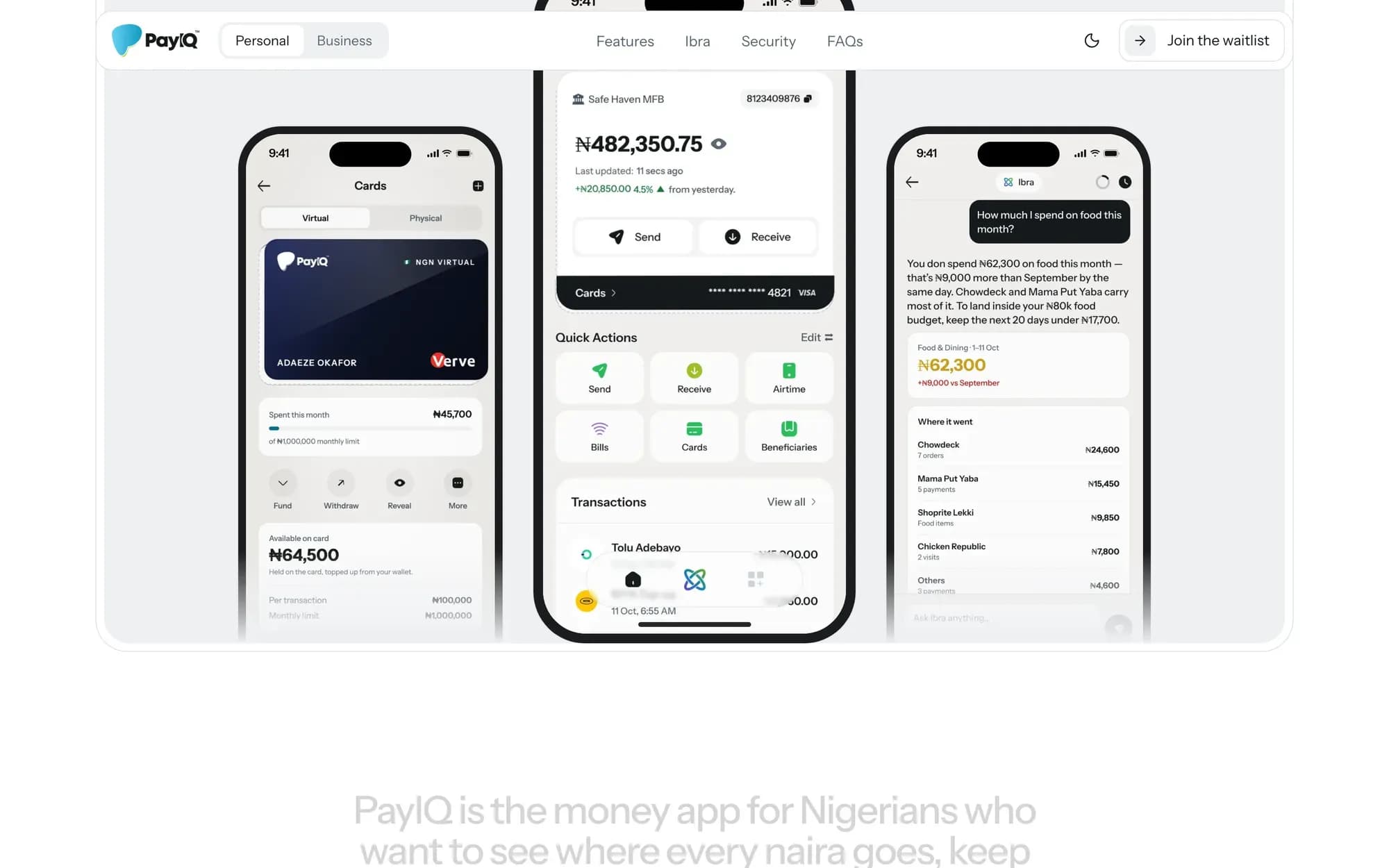 PayIQ website: the app in context